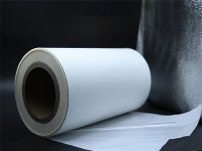 Pellicola adesiva termoattivata in EVA, TPU, PES, PP per l'adesione di diversi materiali